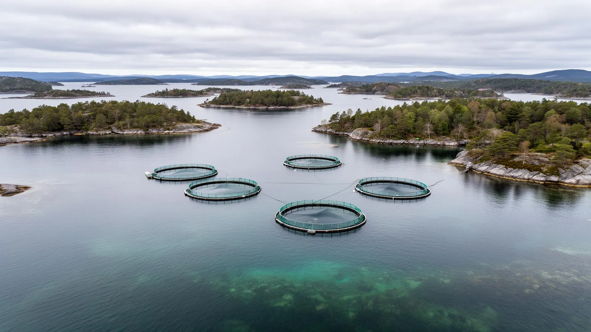Fish farming in the archipelago